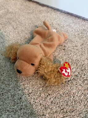 1997 Ty Spunky Cocker Spaniel Beanie Baby - Tag Errors!